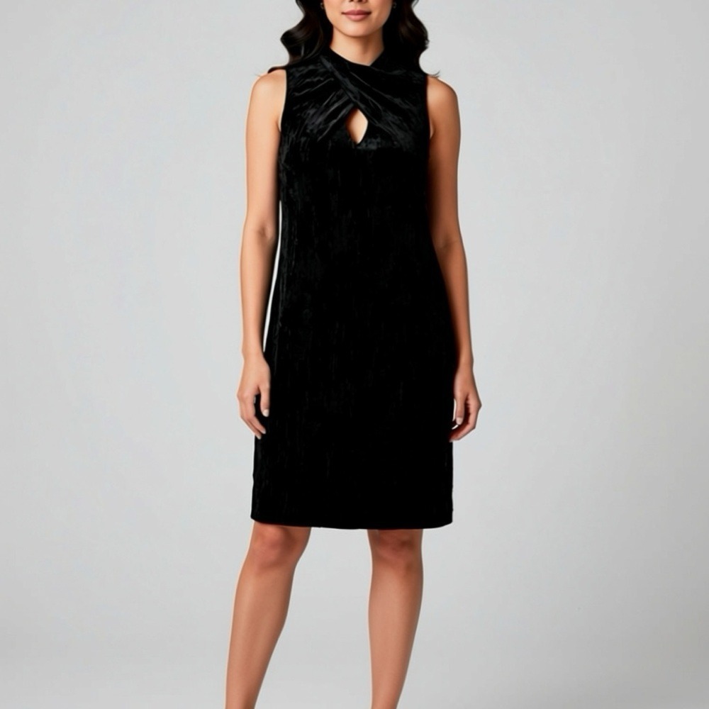 Etcetera Velvet Sleeveless Dress / NWT / MSRP $298 / Size 4